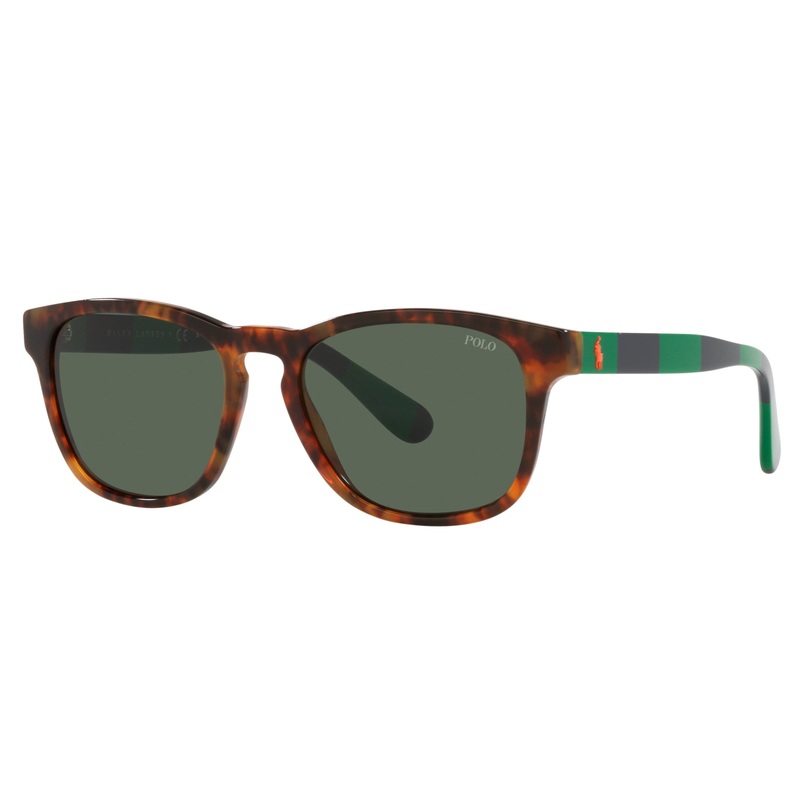 Polo Ralph Lauren 0PH4170 501771 53 (POL08)  Men’s Shiny Jerry Tortoise Sunglasses