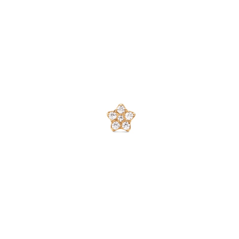 Daniel Wellington Crystal Star Stud Gold