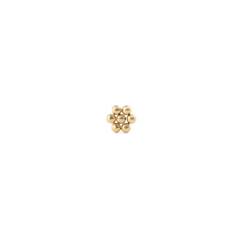 Daniel Wellington Flower Stud Gold