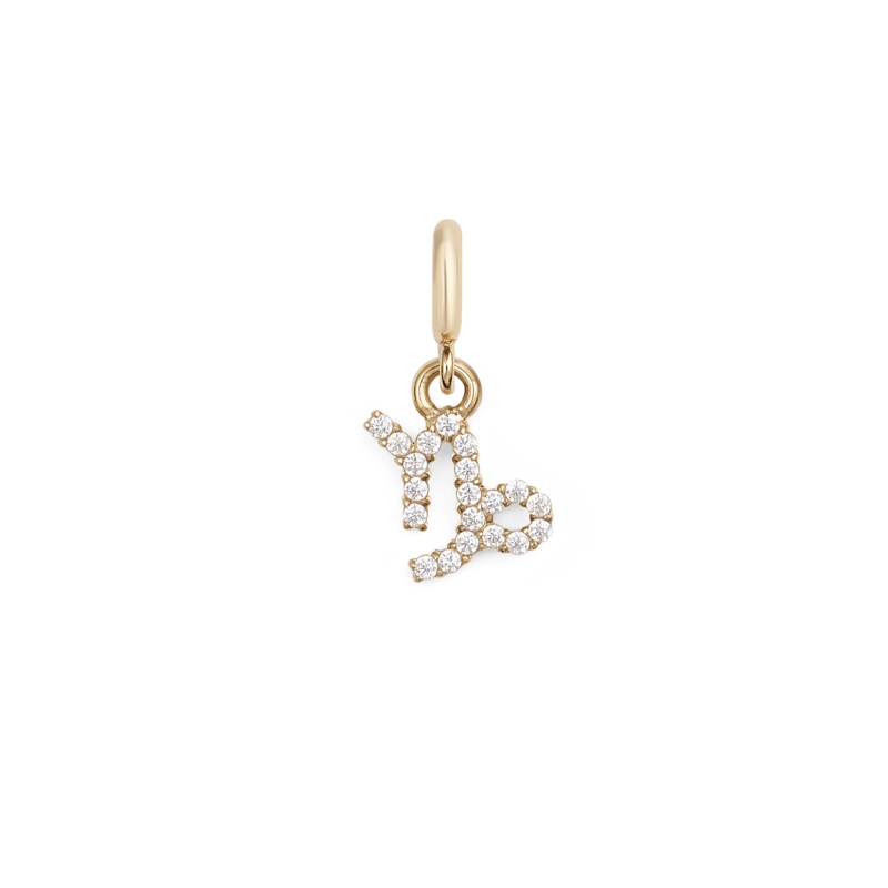 Daniel Wellington Zodiac Watch Charm Gold