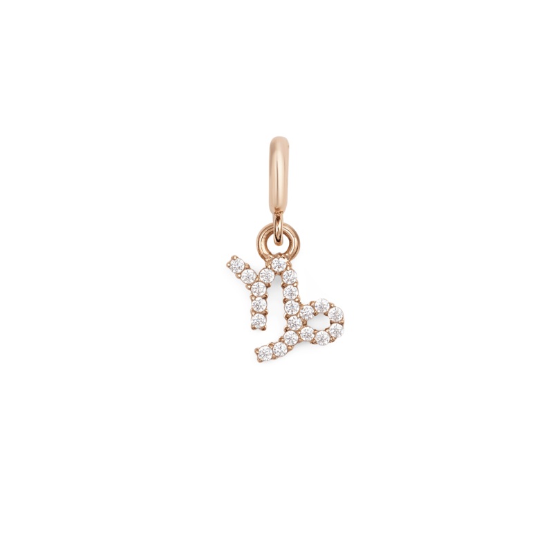 Daniel Wellington Zodiac Watch Charm Rose Gold